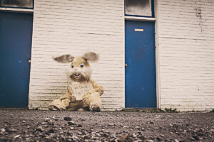 recent-projects-image